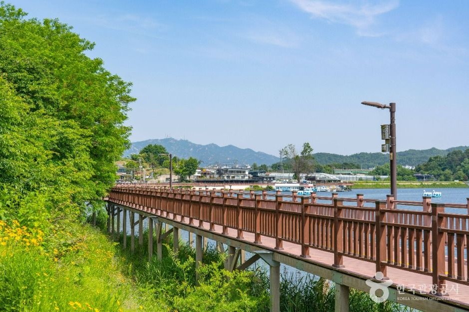 生態探訪路デッキ道