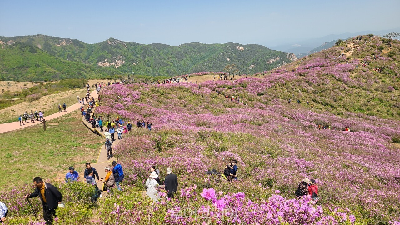 Hwangmaesan