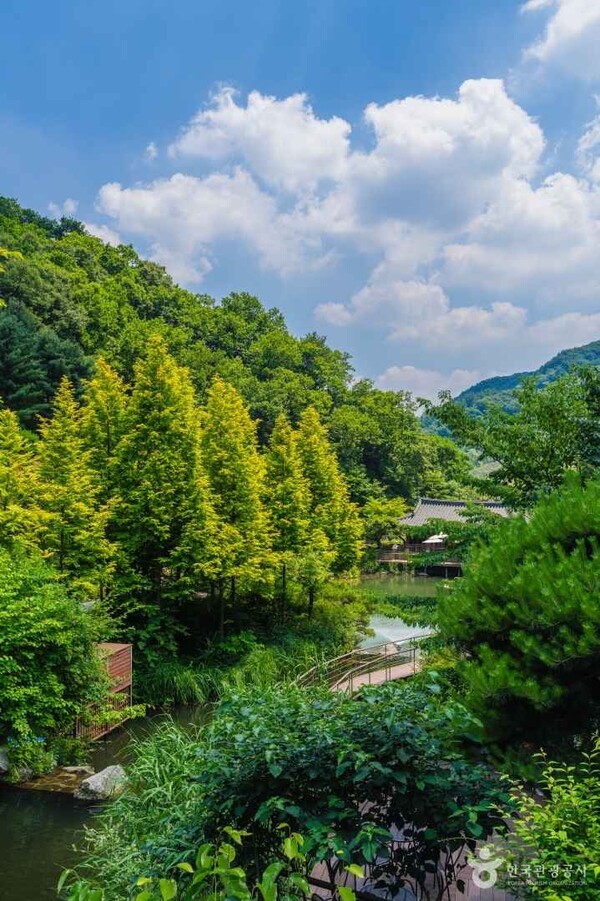 화담숲