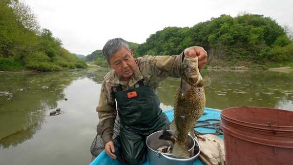 写真=韓国紀行
