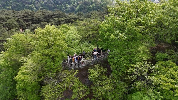 写真=韓国紀行