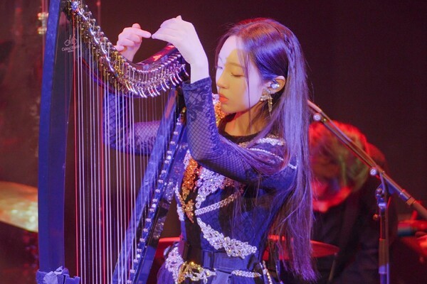 Harpist