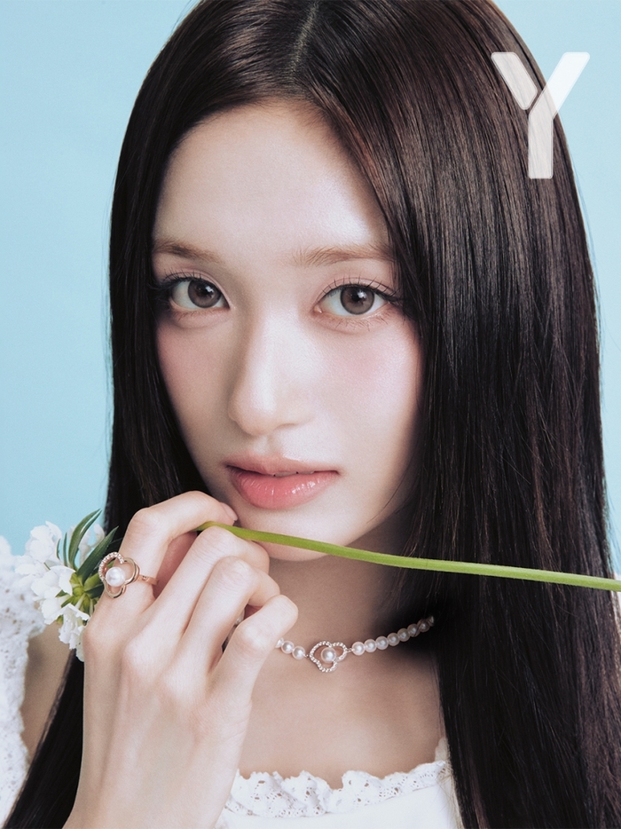 写真 | 'Y' マガジン
