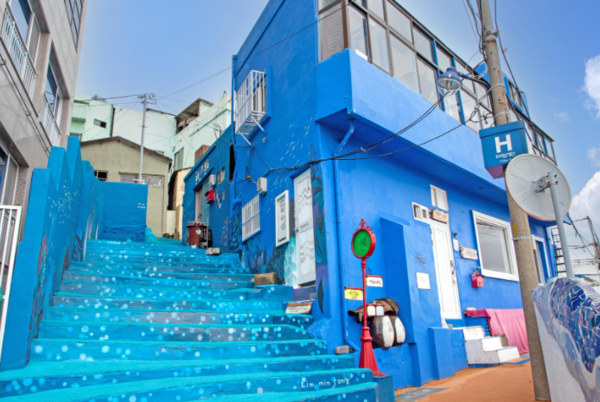 온라인