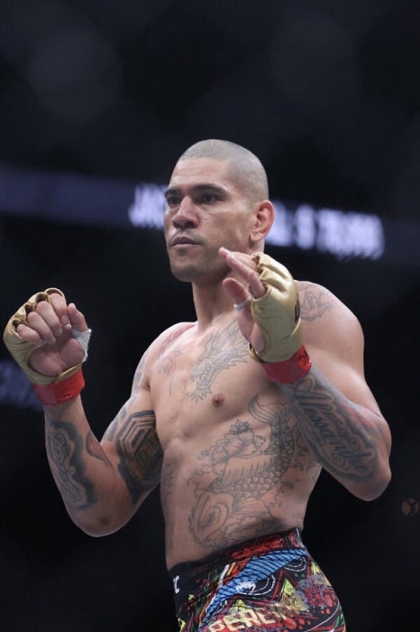 UFC関連の写真