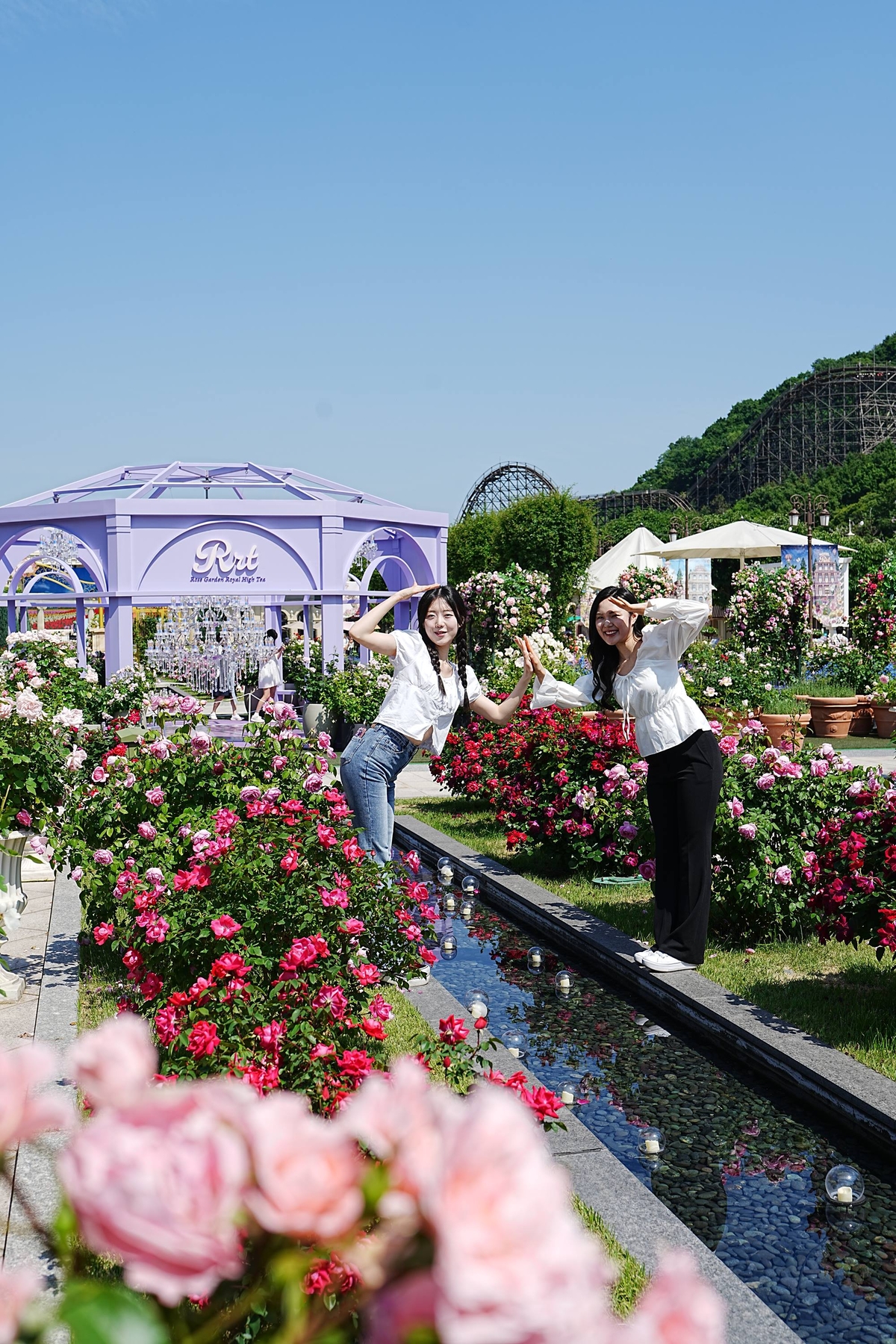 エバーランドのローズガーデンで来園者が満開のバラを背景に記念写真を撮っている。写真提供=三星物産 リゾート部門 エバーランド