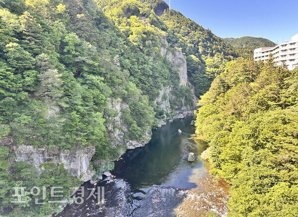 鬼怒楯岩大吊橋から見た鬼怒川渓谷の風景／写真＝パク・ジヌ特派員 ⓒポイント経済