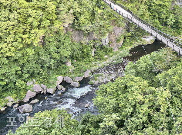 高所から見た鬼怒川渓谷と鬼怒楯岩大吊橋が初夏の新緑に溶け込んでいる／写真＝パク・ジヌ特派員 ⓒポイント経済