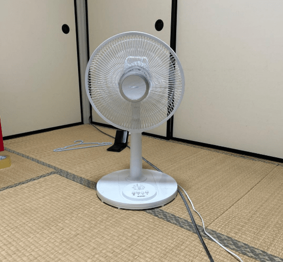 온라인