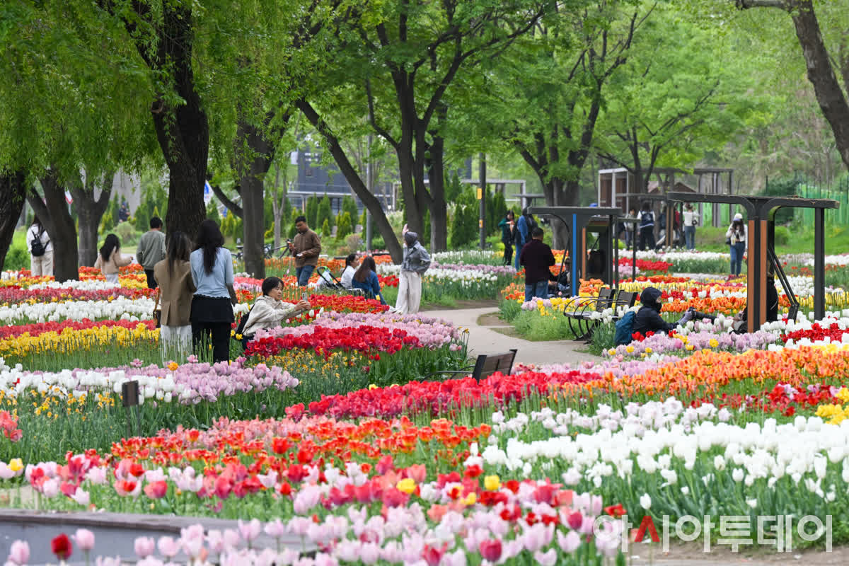 5万本の花が彩る癒しの楽園へ――ソウル中浪川に誕生した「ヨンビ休息庭園」の全貌