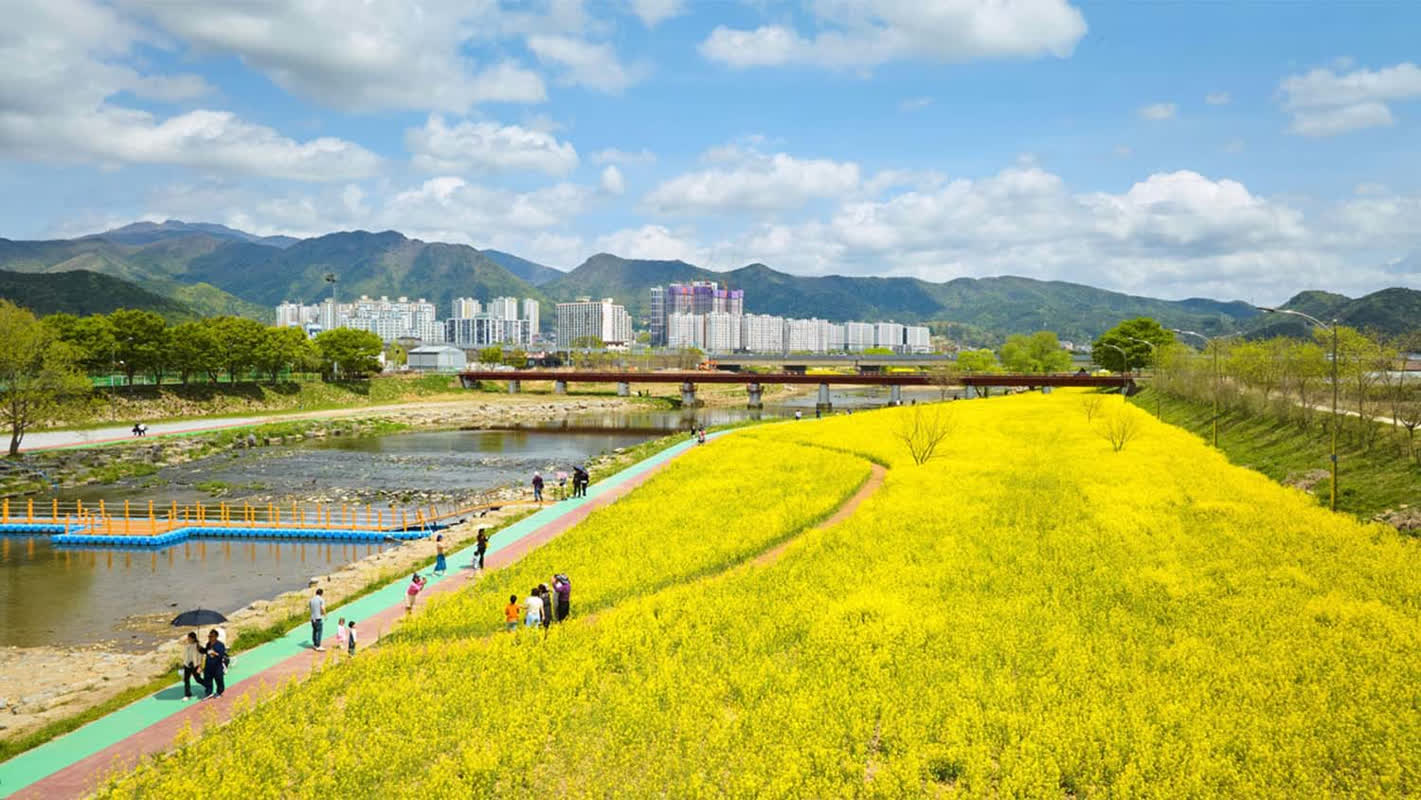 絶体絶命の花の夜行！2026年春の花祭り
