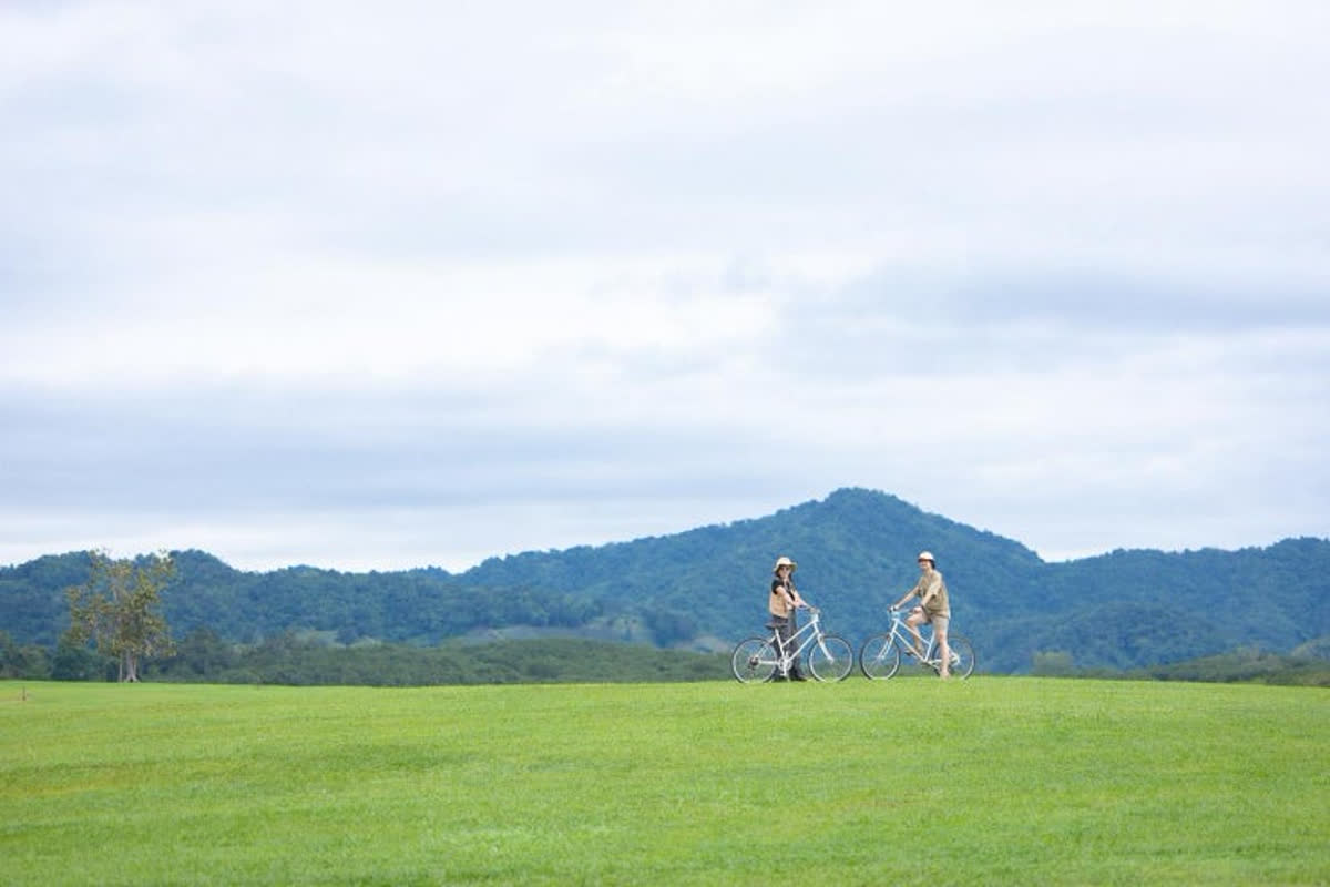 Your Ultimate Chiang Rai Travel Guide: Discover the White Temple and Local Gems