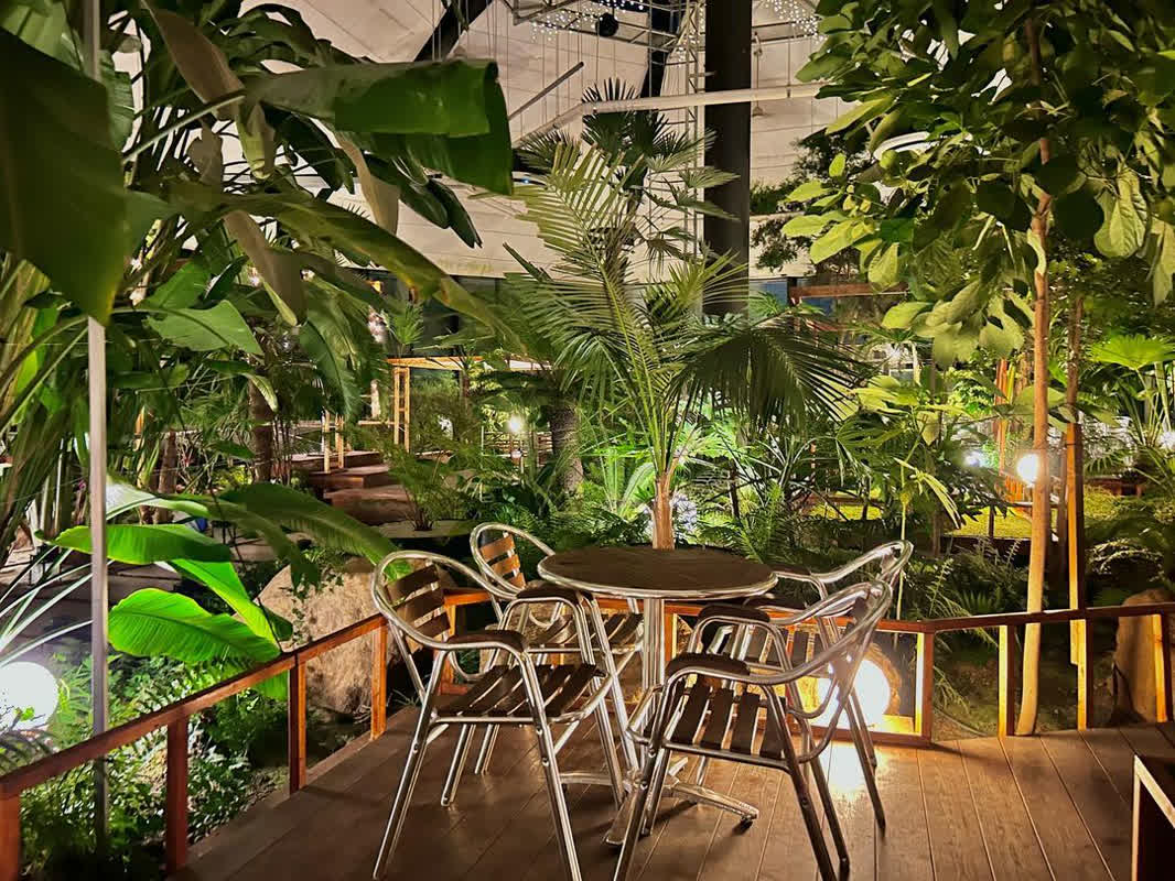 まるで室内植物園？韓国で今、感度の高い層が夢中になる「植物カフェ」5選