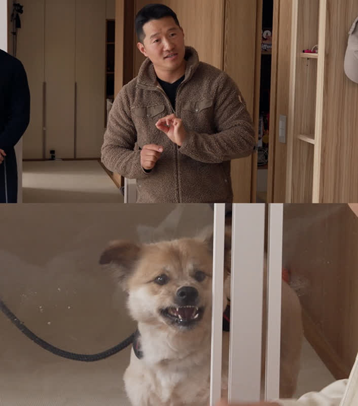 犬の攻撃性で家族計画が崩壊寸前！