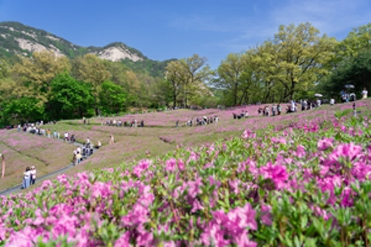 春の訪れを祝う！2026不暗山鉄拱祭が開幕