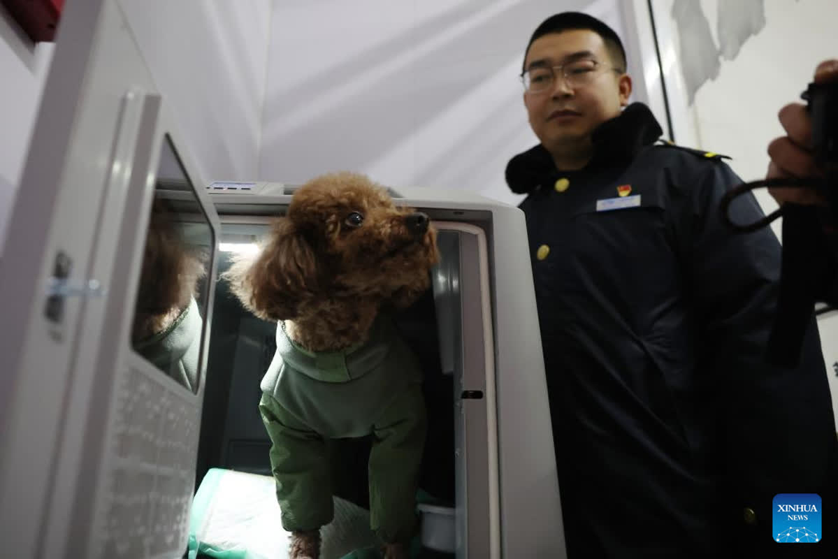 High-Speed Trains in China Now Feature High-Tech Smart Cages for Pets