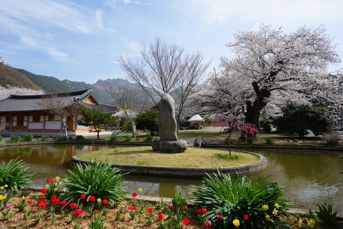 Inside South Korea’s 1,000-Year-Old Temples: The Newest Wellness Trend