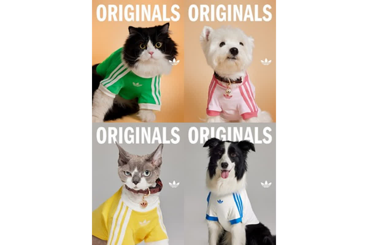 Adidas Originals Goes Pet-Friendly: A First Look at the 2026 Collection