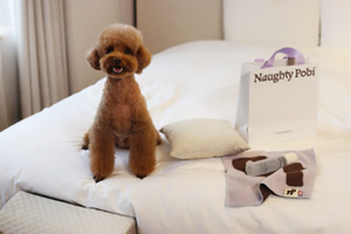 愛犬と過ごす特別なひととき、メゾン・グラッドの新パッケージ