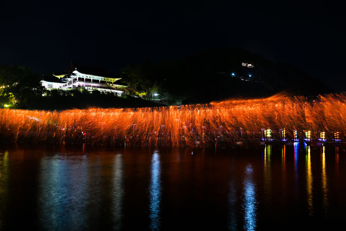 春の夜、ミリャンの幻想的な花火