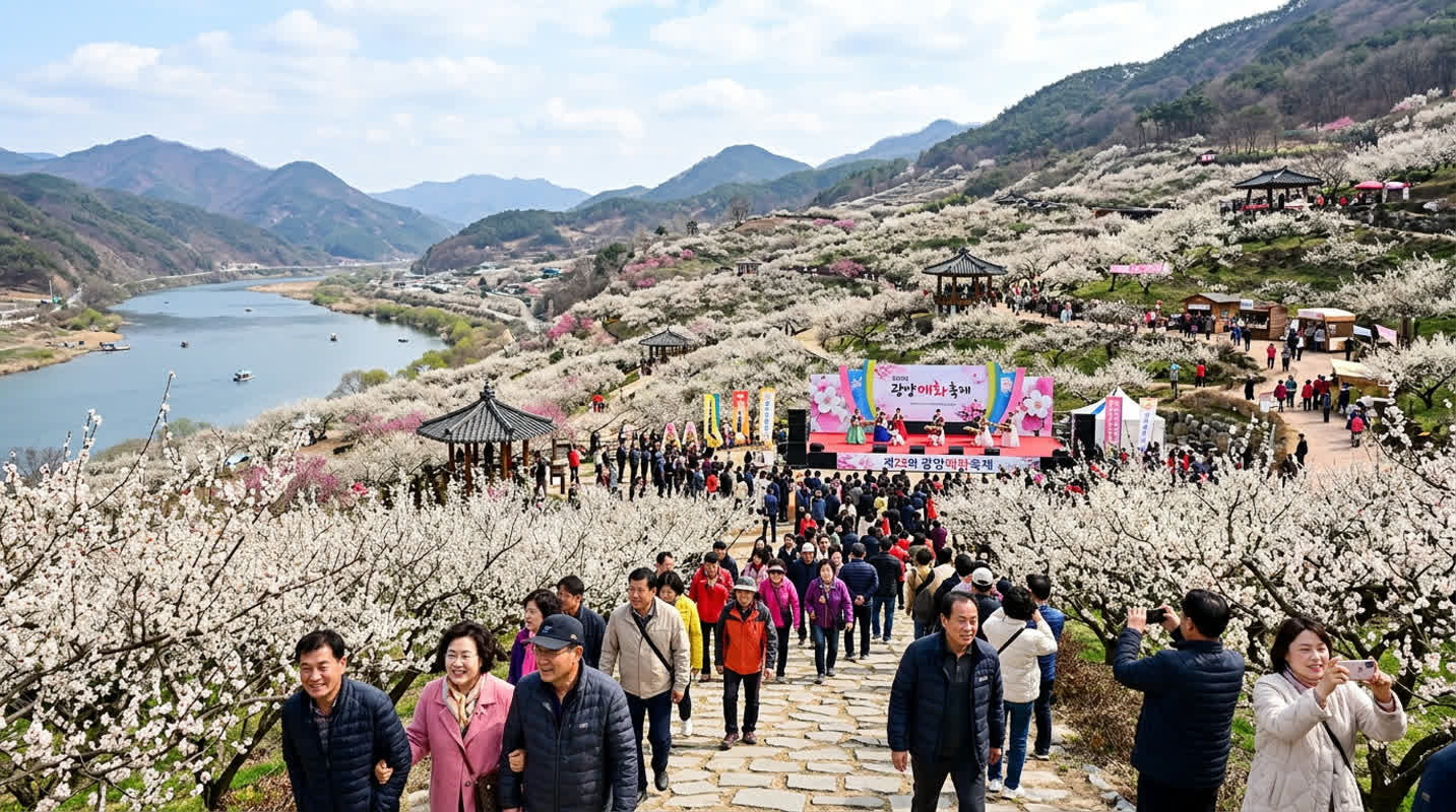 300万本の梅が咲き誇る！韓国・光陽の祭典が「見る」から「体験」へ進化した理由