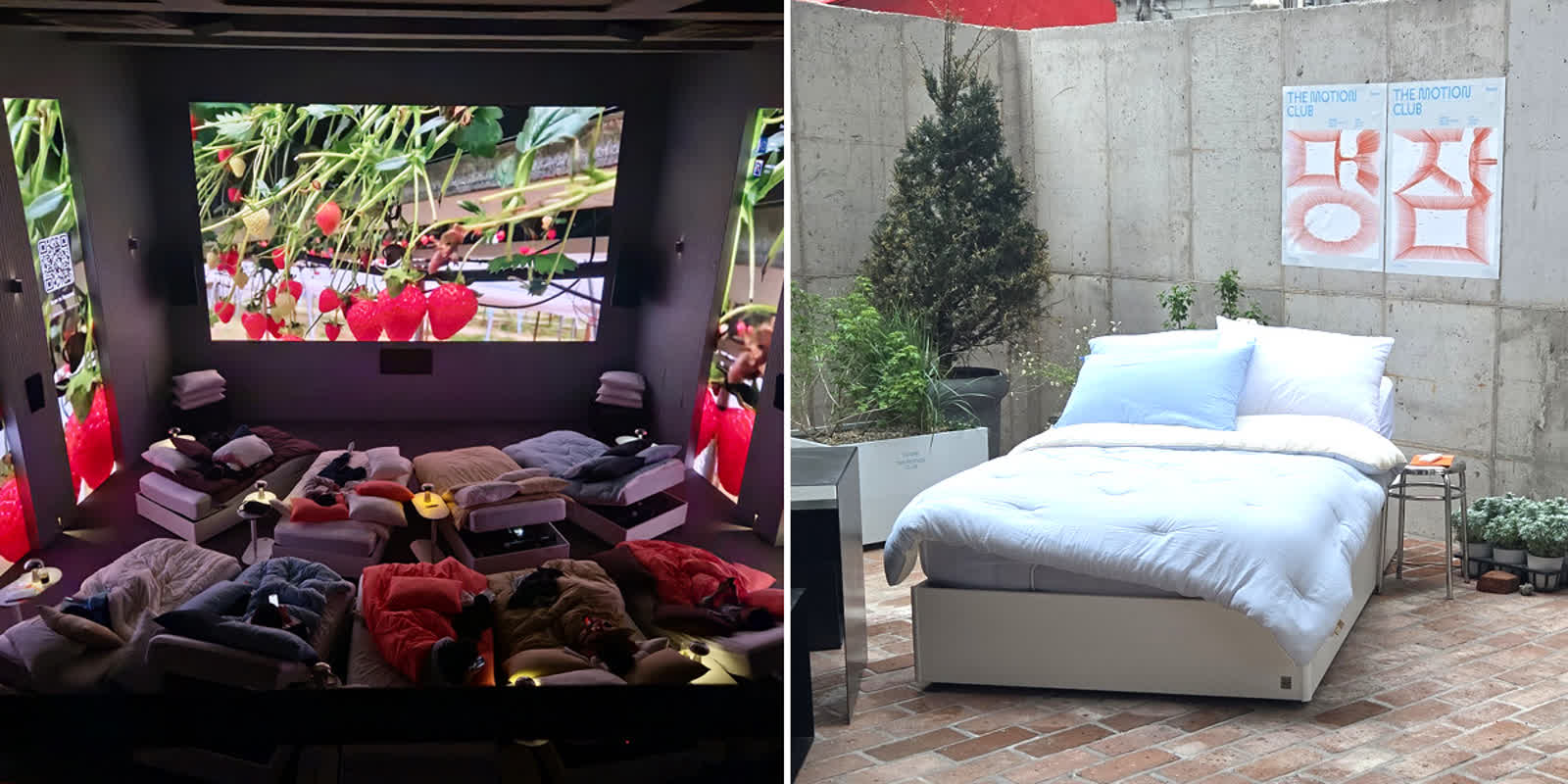 The ‘Meongjam’ State: Why This Korean Pop-Up is All About Doing Nothing