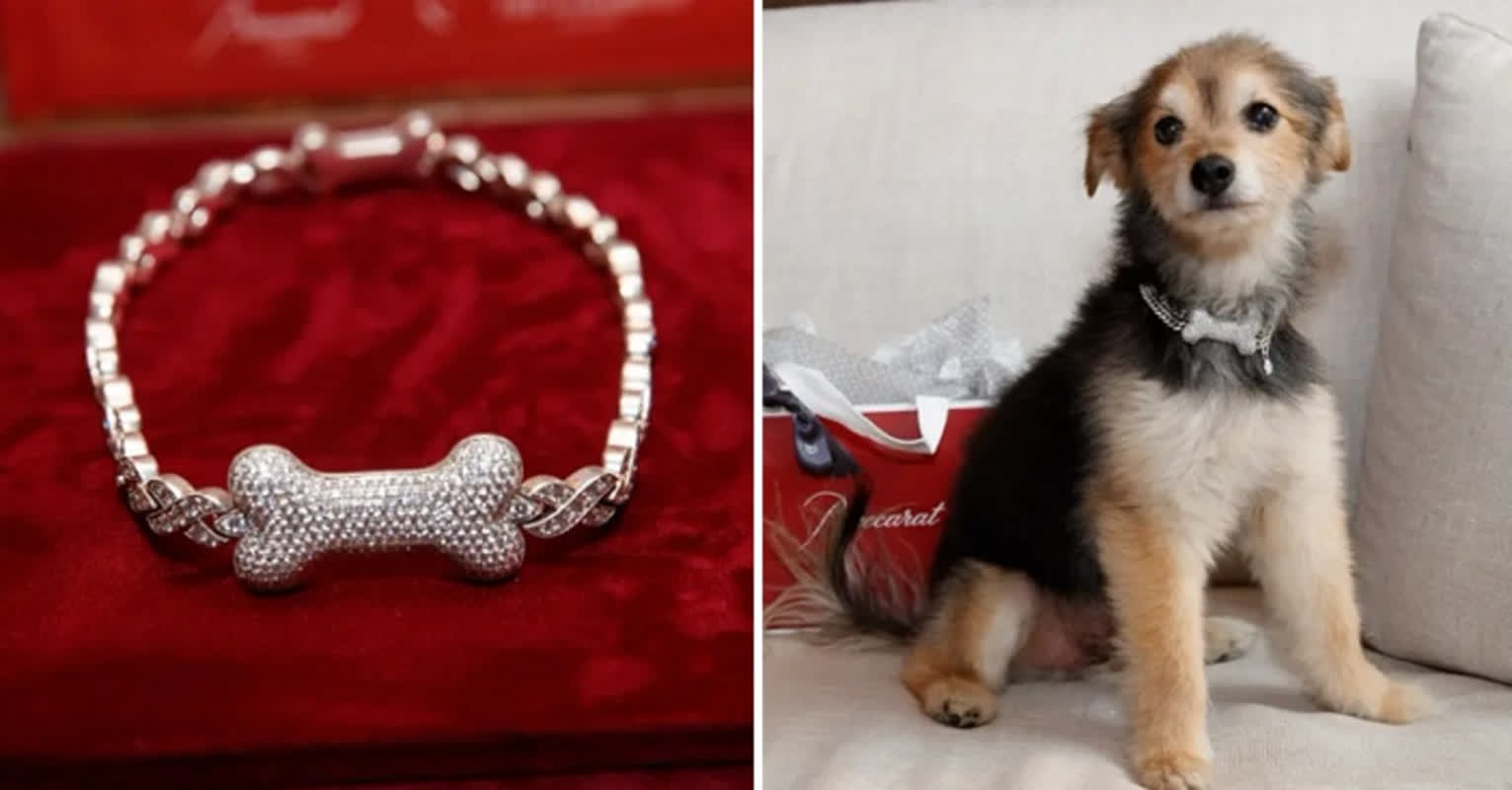 価格はなんと約2200万円――NYの高級ホテルが発表した「犬用ダイヤモンドネックレス」の衝撃