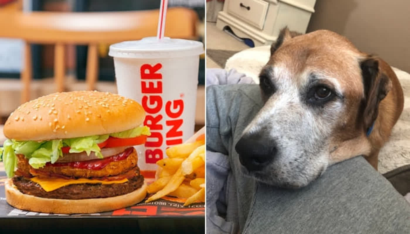 末期癌の犬に無料チーズバーガー提供の感動秘話