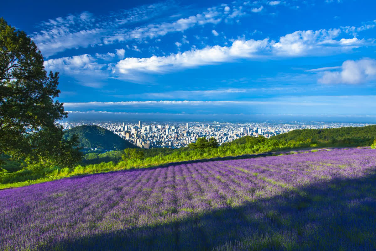 Escape the Heat: Why Sapporo Is Japan’s Best Summer Destination