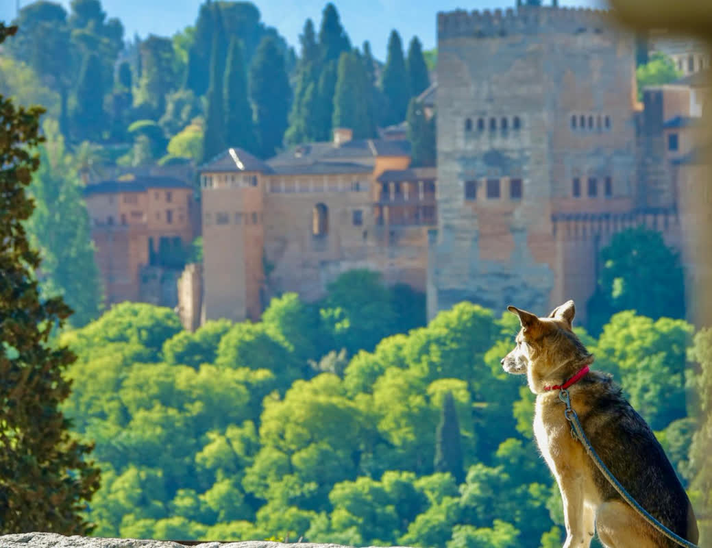 Experience Spain in 2026: From Gaudí’s Masterpieces to Flamenco Nights