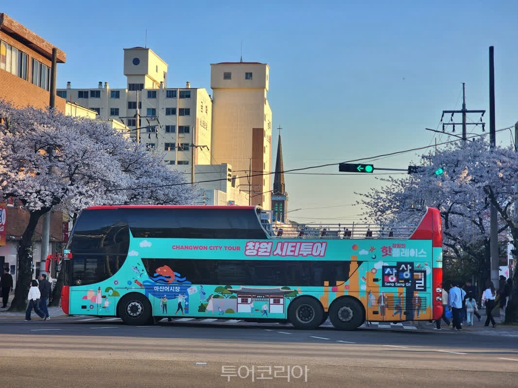 移動自体が旅行になる！？韓国・鎮海で運行される「2階建て桜バス」の特別な体験とは