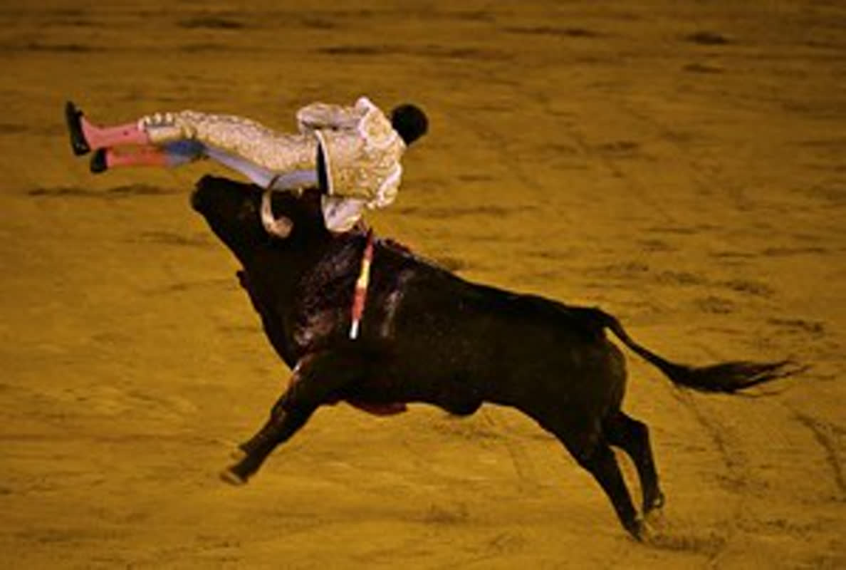 Matador Gored by Bull in Dramatic Season-Opening Fight in Seville
