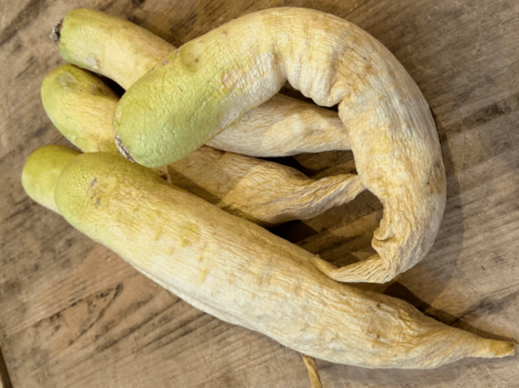 Why Drying These 3 Common Foods Actually Makes Them Healthier