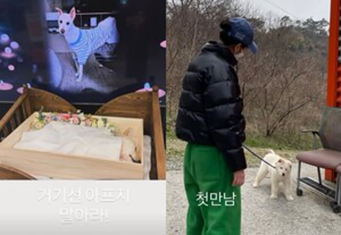 月を越えた愛犬、月が虹の橋を渡った