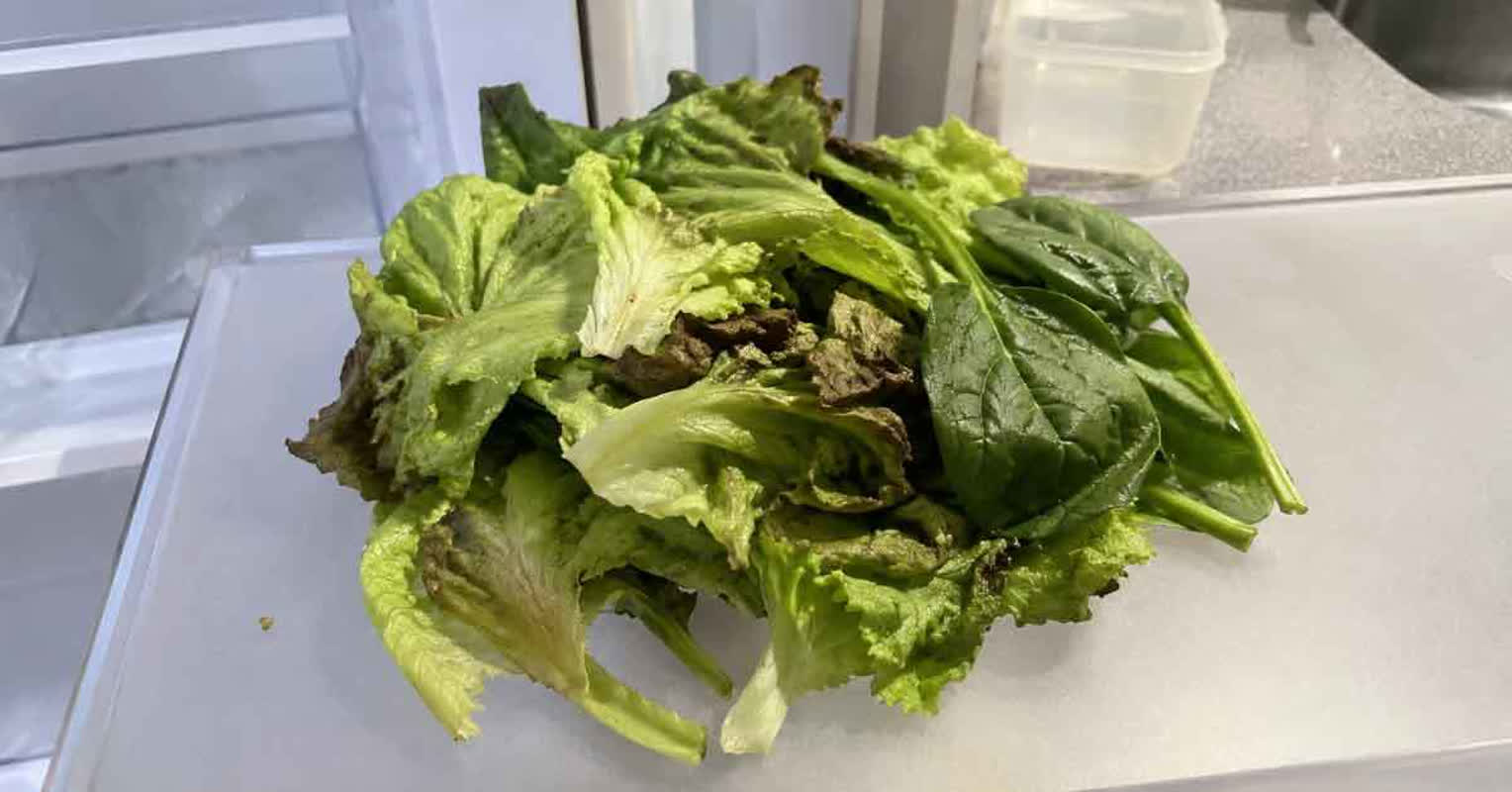 しおれた野菜が15分で復活？プロも使う「50度のお湯」を使った驚きの再生法