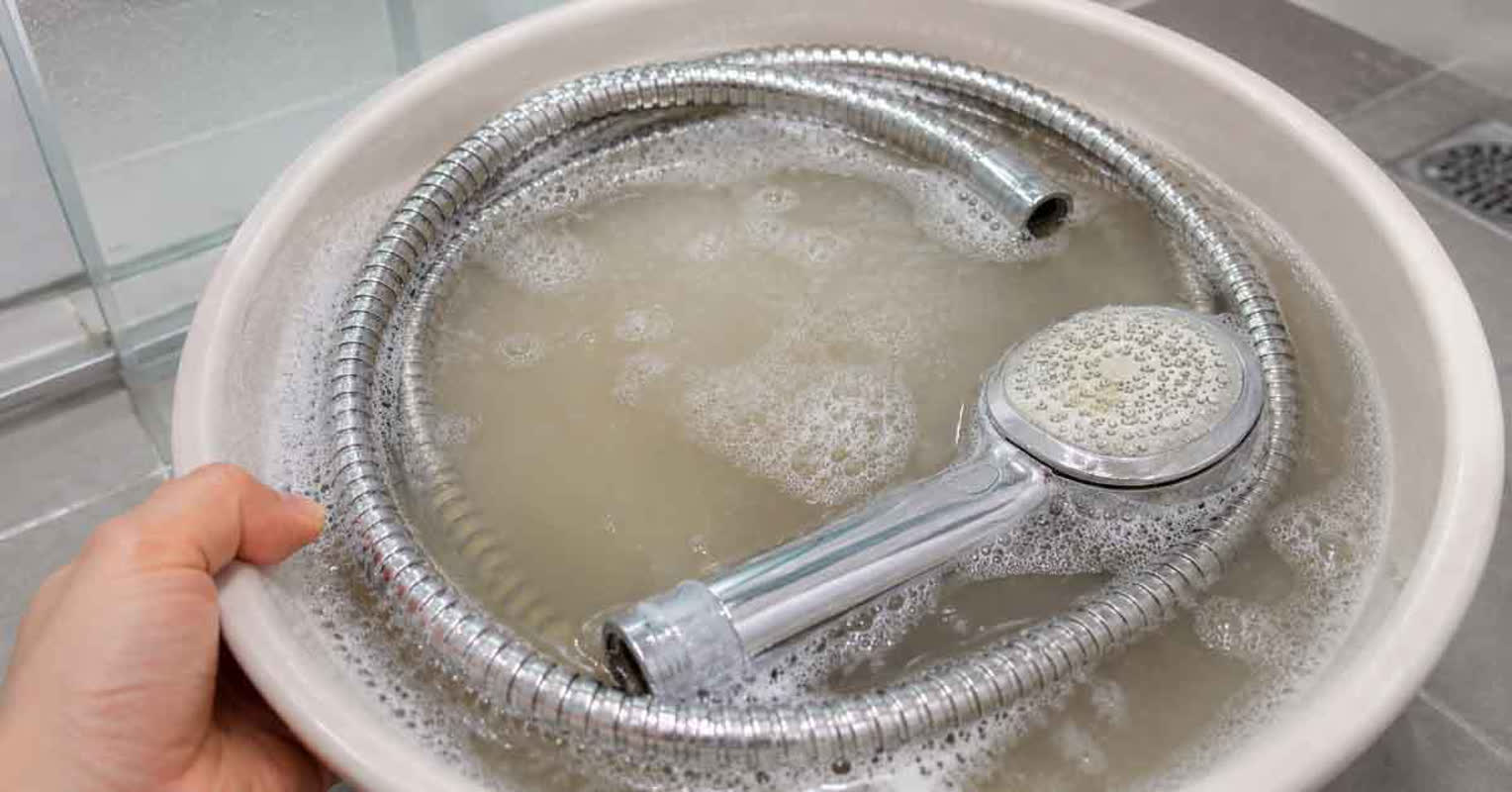 The Invisible Germs in Your Shower Hose: Are You Standing Under Them?