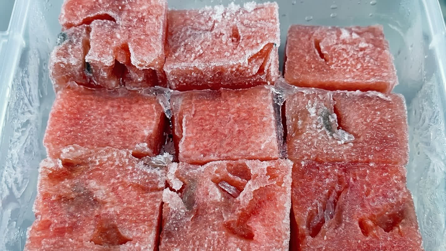 TikTokで数千万回再生！材料はスイカのみ？驚きの「冷凍スイカシャーベット」の作り方