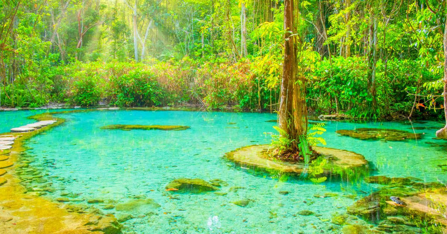 Forget the Islands: Why This Hidden Gem is 2026’s Top Eco-Destination