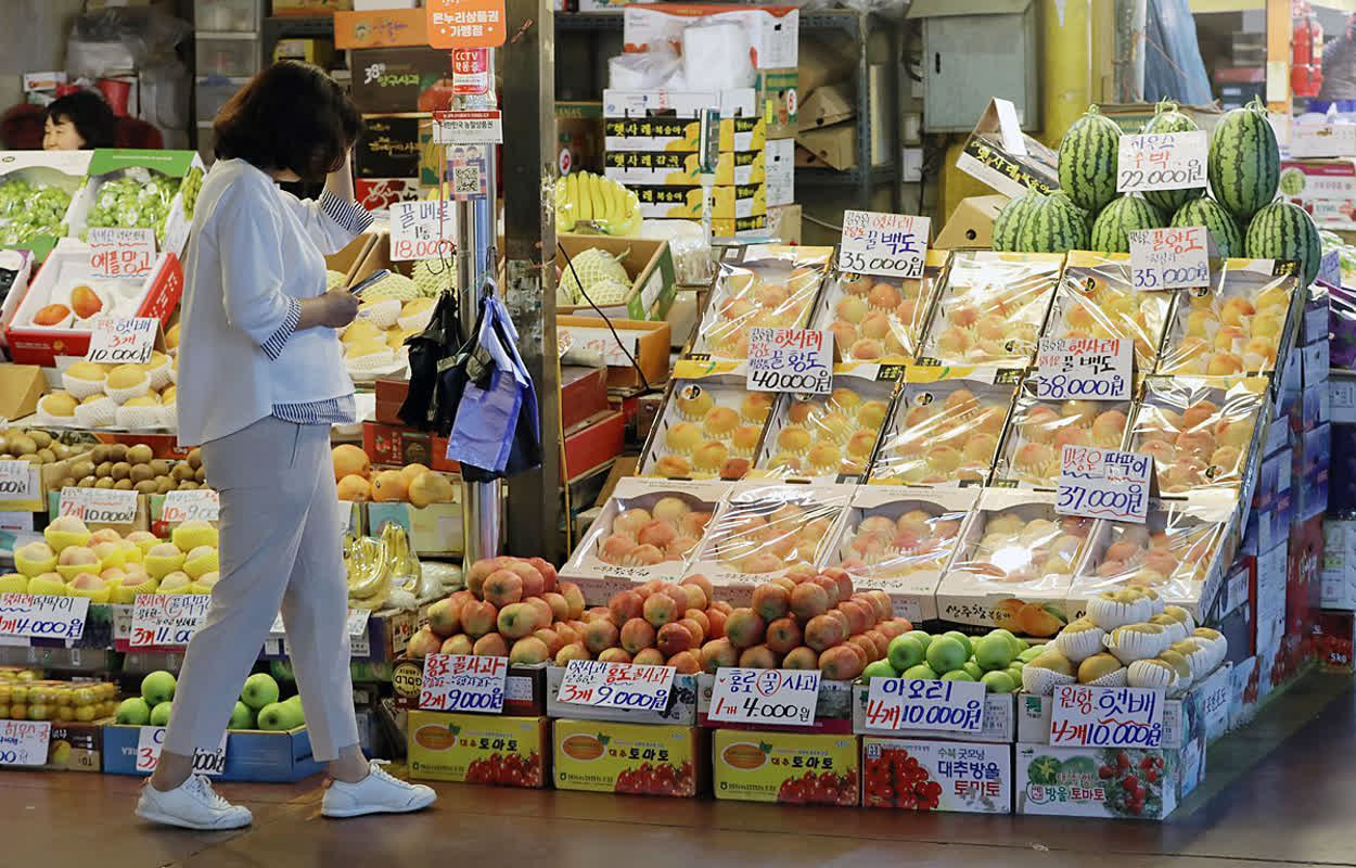 重さ23.63kg！韓国で収穫された「超巨大スイカ」の驚きの大きさと正体とは