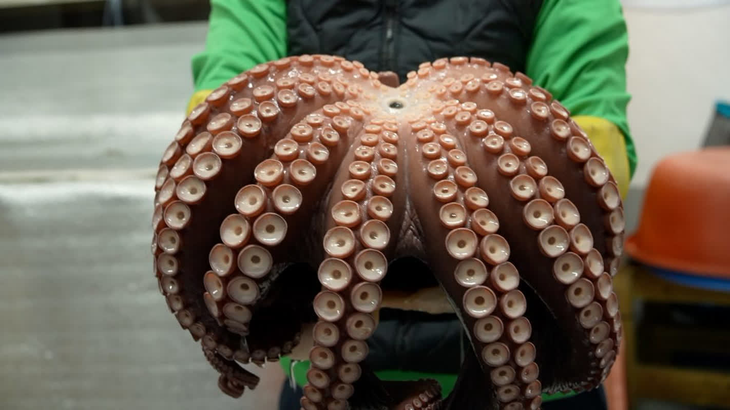 How One Woman Turned a Single Octopus Into a $750K Annual Success
