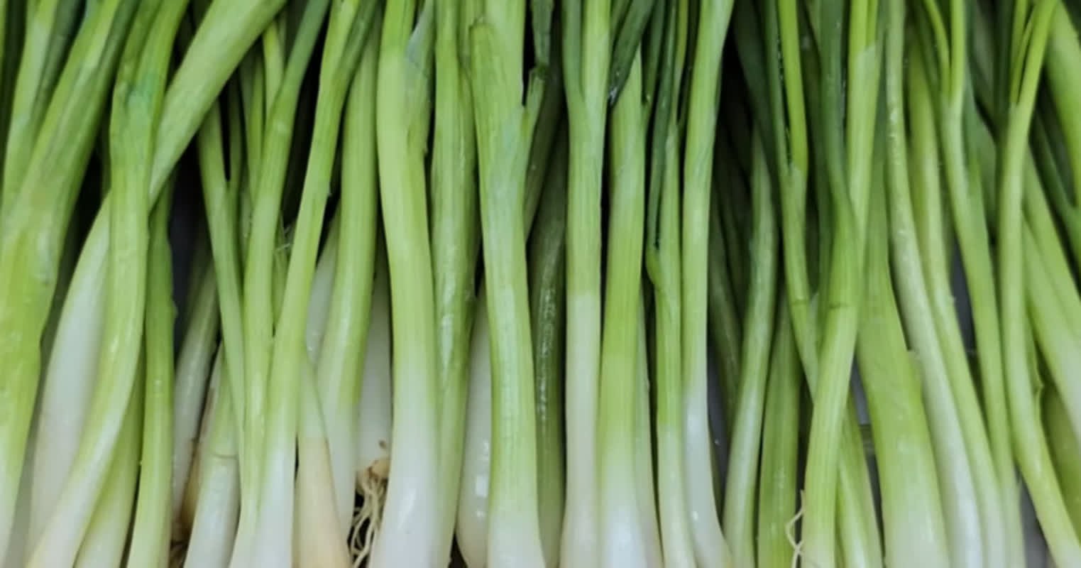 絶体絶命の食材！冷凍なしで長持ちする方法とは