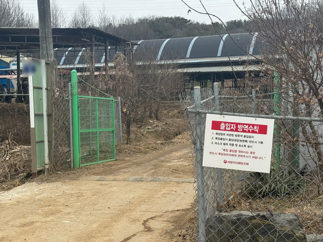 2026 ASF Outbreak: How Foreign Viruses Are Impacting South Korea’s Pig Farms