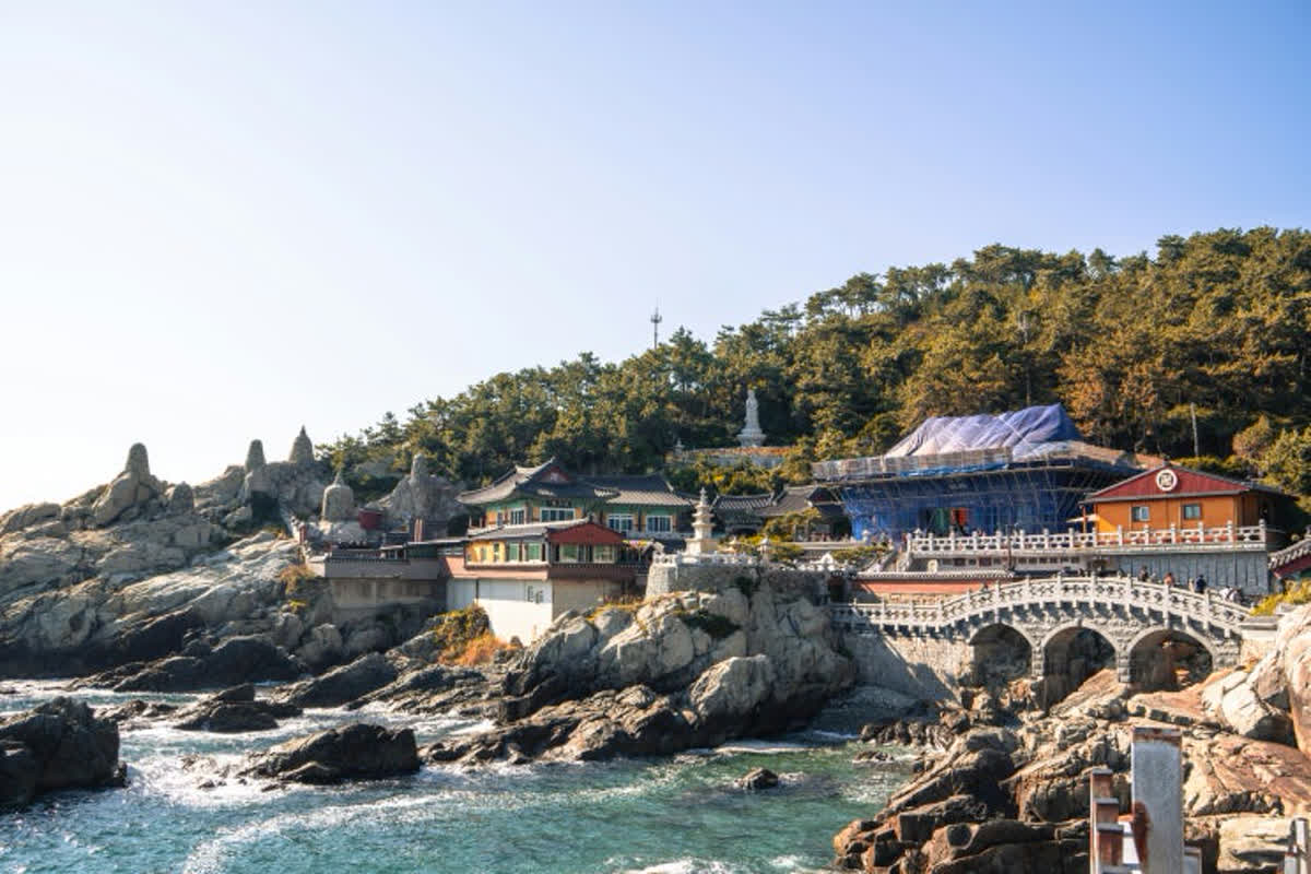 Why Busan is the Top City for Chinese Tourists in Asia: A Deep Dive into Satisfaction Ratings