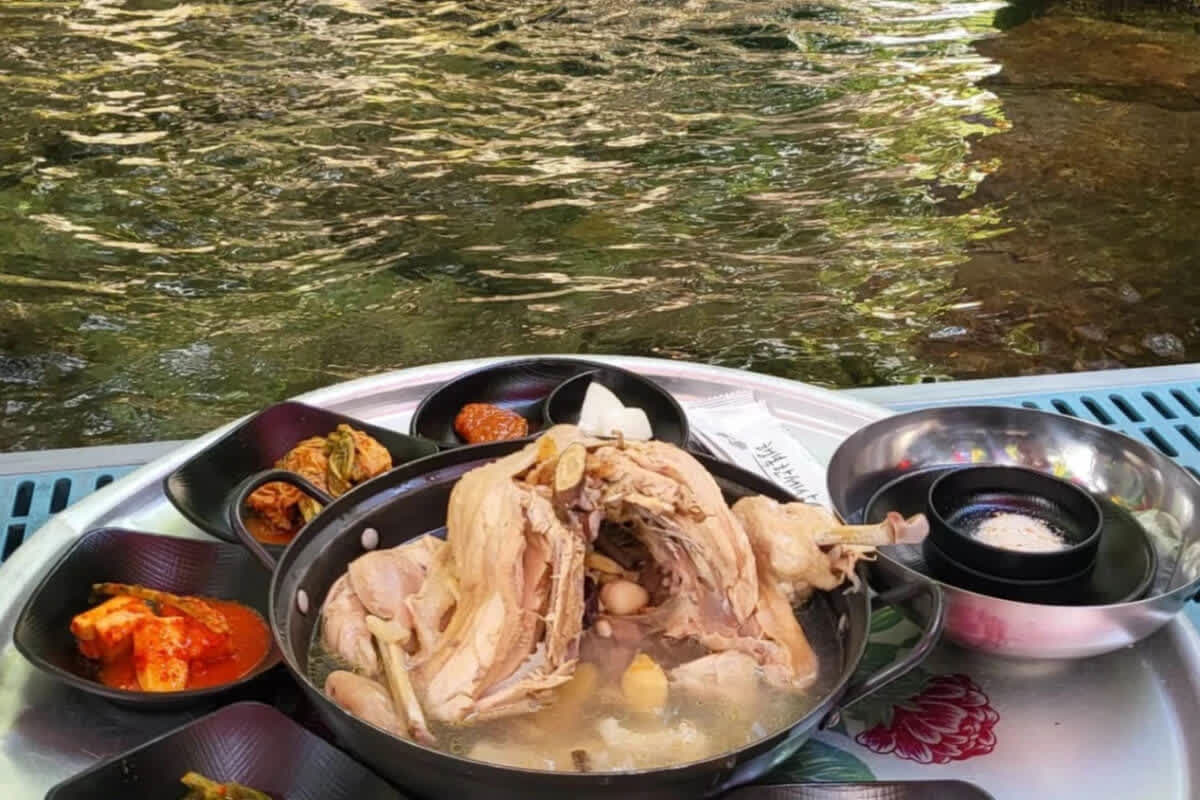 韓国の渓谷で味わう究極の贅沢とは？夏の避暑に最適な絶品鶏の煮込み名店5選