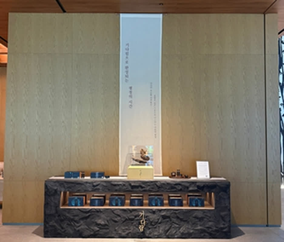 Experience Total Zen: A New Premium Wellness Ritual at Park Roche Resort