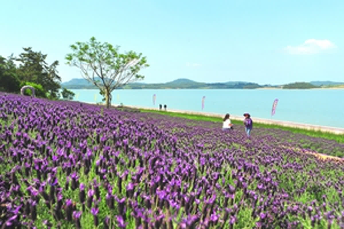 絶体絶命の春、全国で花盛りの祭りが開催！