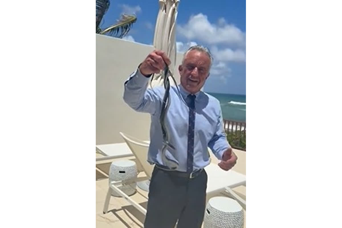 RFK Jr. Caught Handling Snakes with Bare Hands After Being Bitten