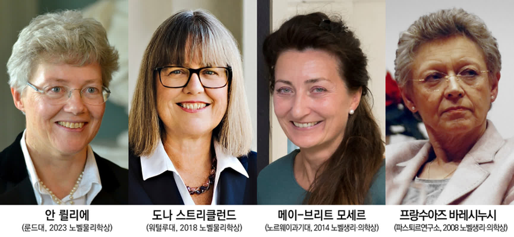 4 Nobel Laureates Join South Korea’s Top Science Academy