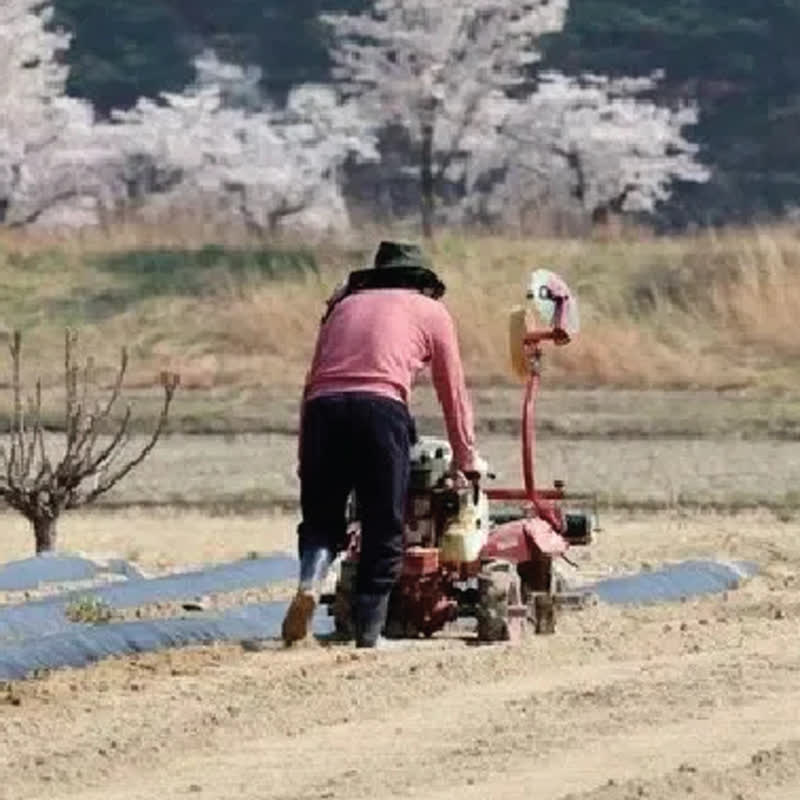 South Korea’s Land Audit Threatens 47% of Tenant Farmers