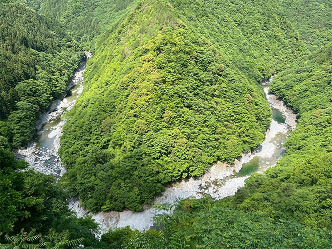 平家が隠れた伝説の地・祖谷渓へ――スリル満点の「かずら橋」と絶景の正体
